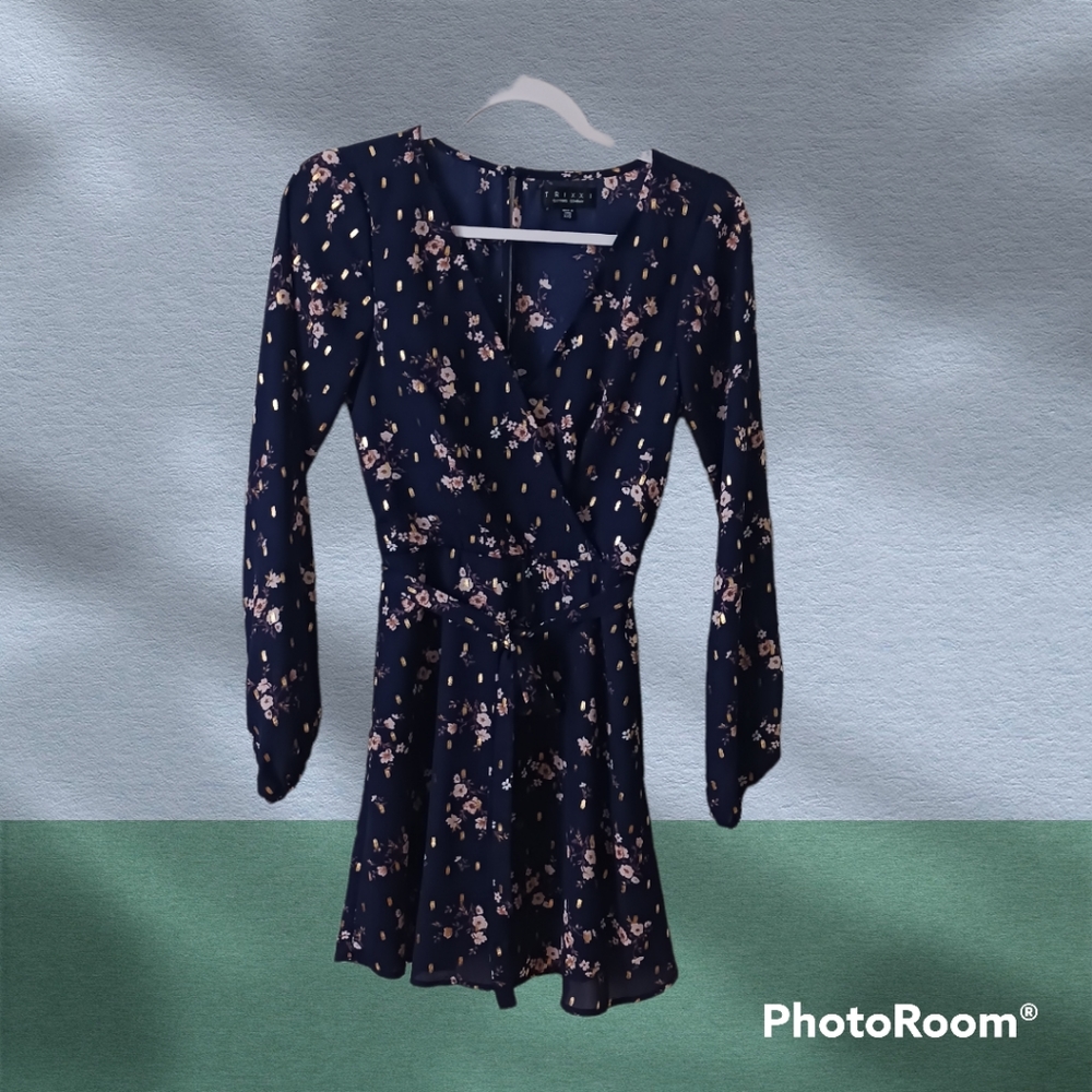 Trixxi Clothing Company Dress Size XXS Color Day Blue and Purple.
